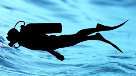 Dive Right Wrist Computer  and Docking Station
