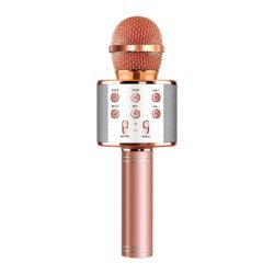 Wireless Karaoke Microphone