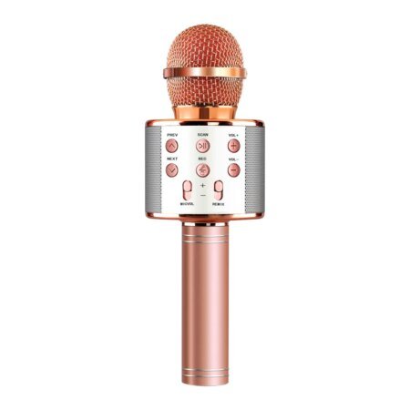 Wireless Karaoke Microphone